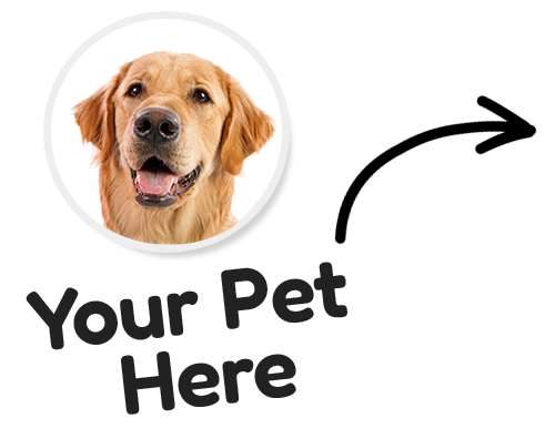 Your Pet Here