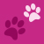 fuchsia paws