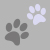 grey paws