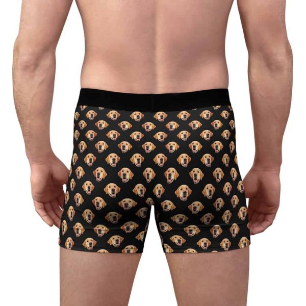 pet face boxers back