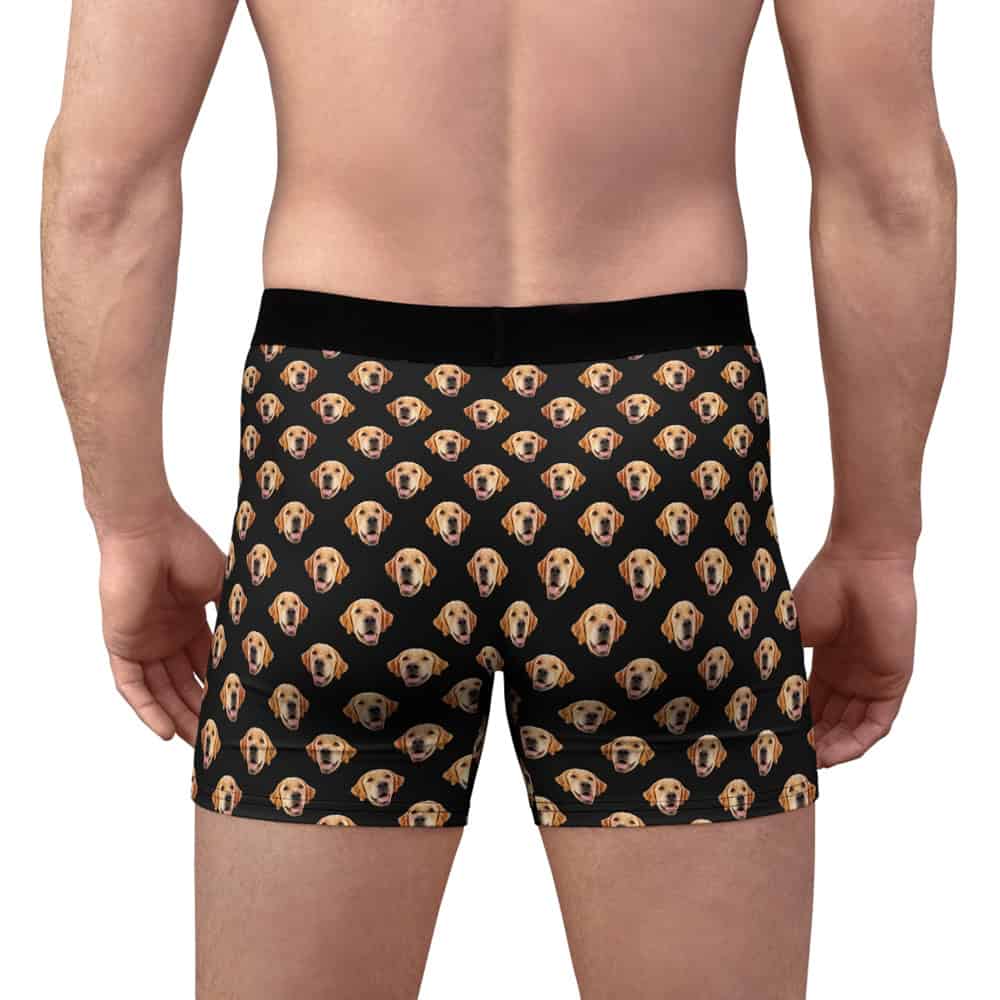 pet face boxers back