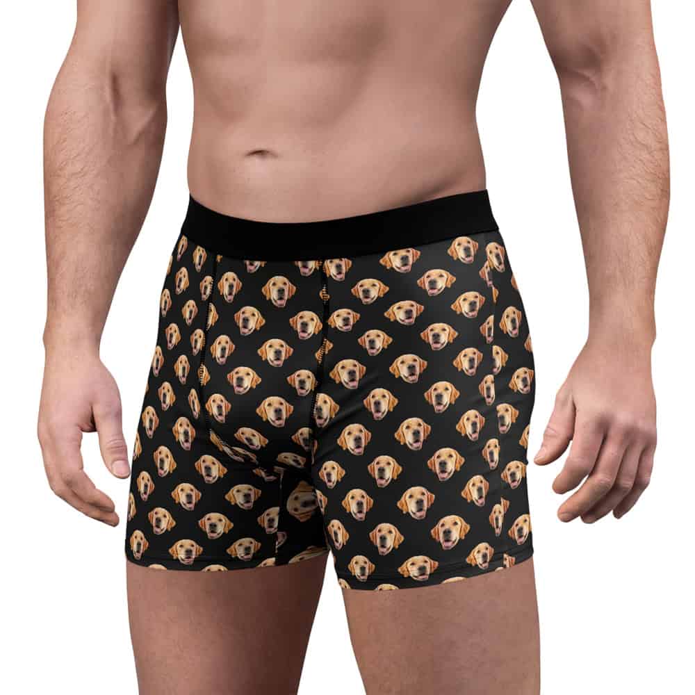 Pet Face Boxers Example