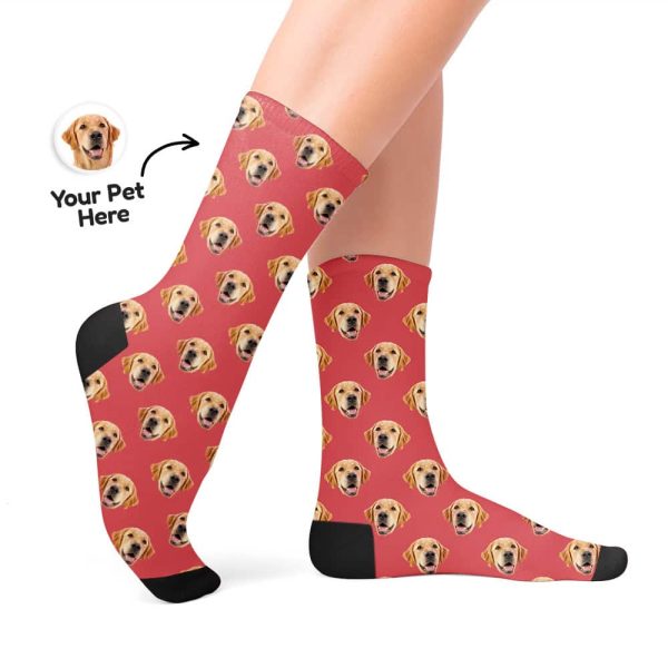 pet face socks