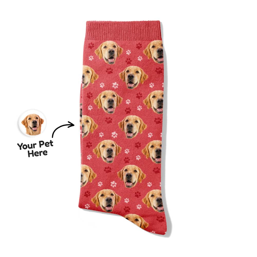 pet face socks sample