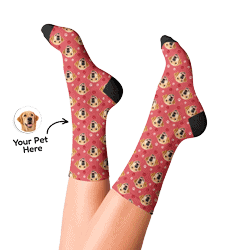 Pet Face Socks