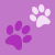 violet paws